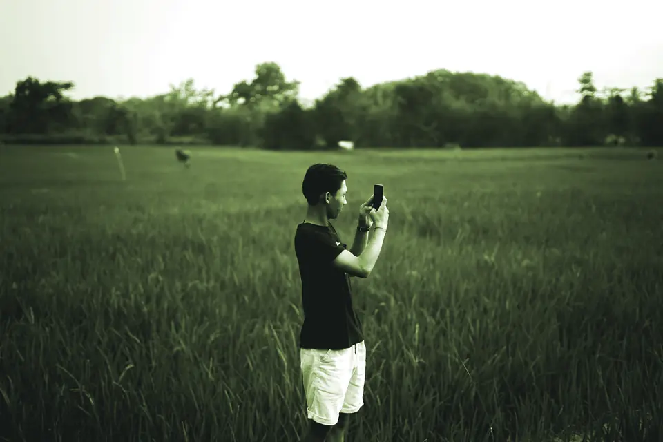 Jovem fotografa uma lavoura verde com o celular